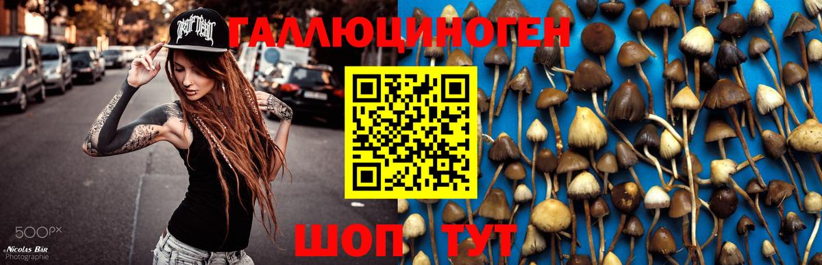 Галлюциногенные грибы Psilocybe  Галлюциногенные грибы мухоморы  Фурманов  Вход с VPN 